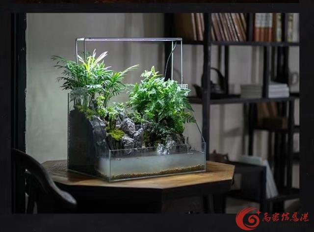 首页 社区 视觉水景  主营:水草缸,水陆缸,雨林缸,植物微景观,承接